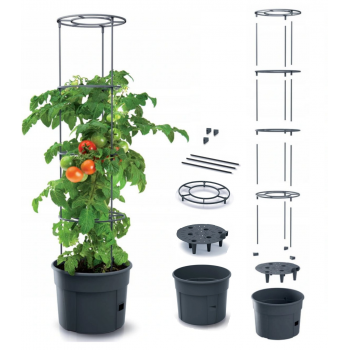 6x Doniczka na pomidory Tomato Grower IPOM300