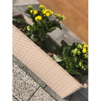 Skrzynka balkonowa Ratolla 60cm mocca + uchwyty