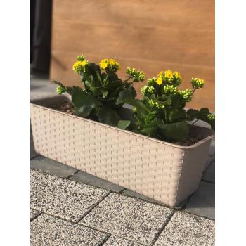 Skrzynka balkonowa Ratolla 50cm mocca + uchwyty