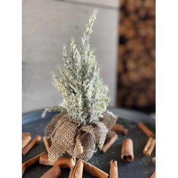 Choinka Cyprys śnieżony - Podstawa jutowa 28 cm