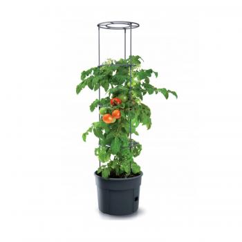 Doniczka na pomidory Tomato Grower IPOM300
